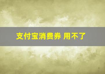 支付宝消费券 用不了